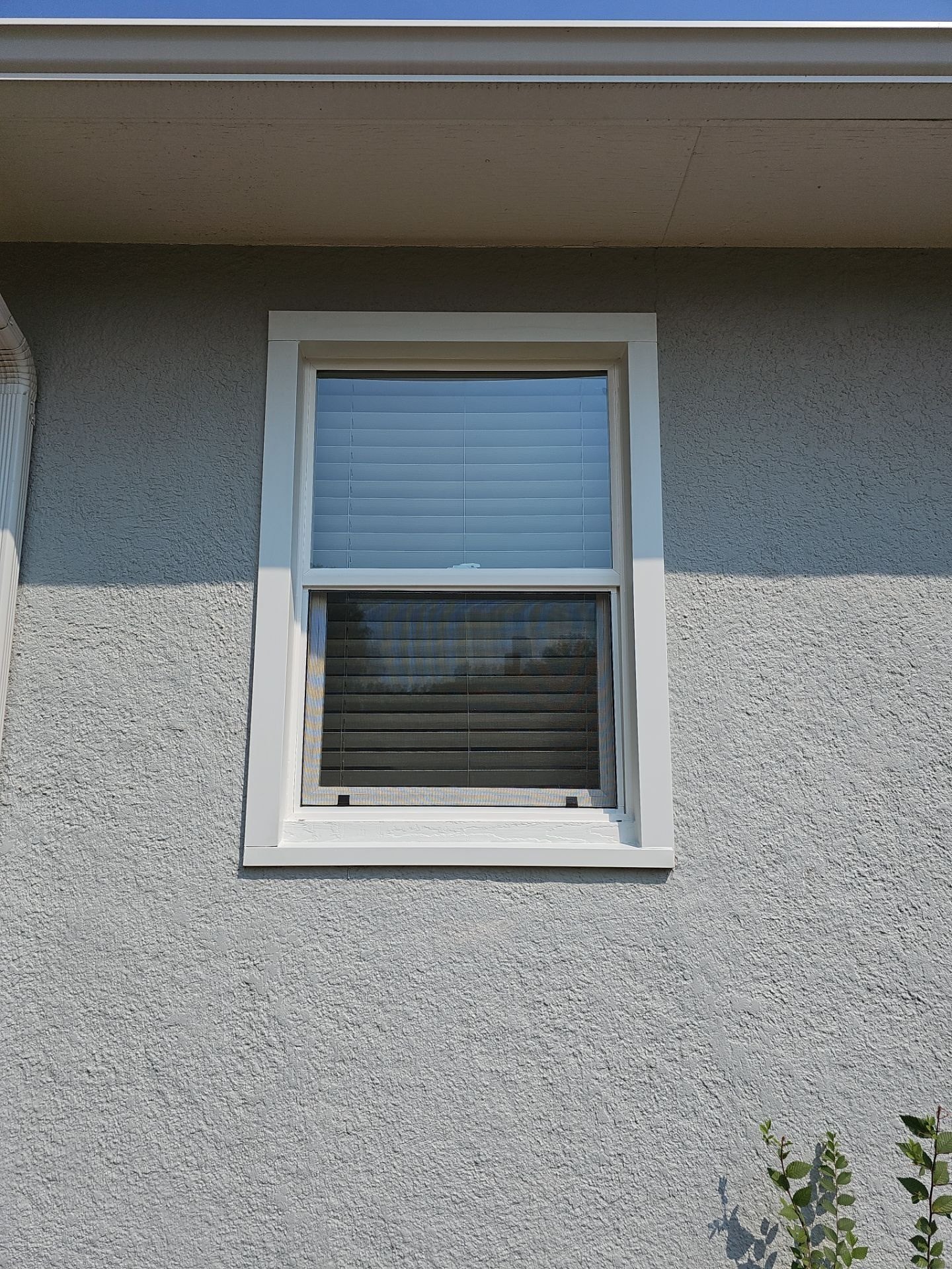After: replacement window with clean new exterior trim